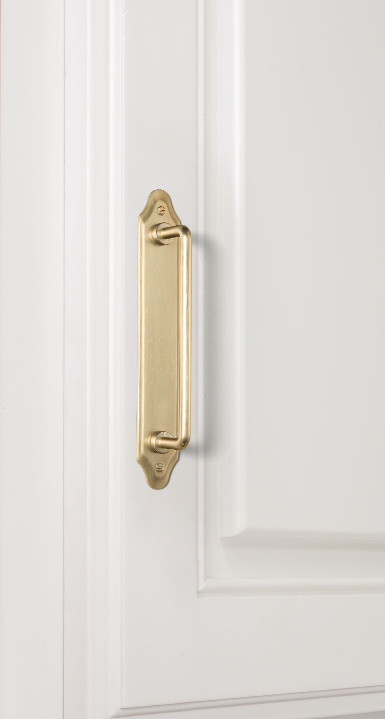 Goo-Ki Antique Brass Cabinet P - огляд і ціна Furniture Hardware With Backplate