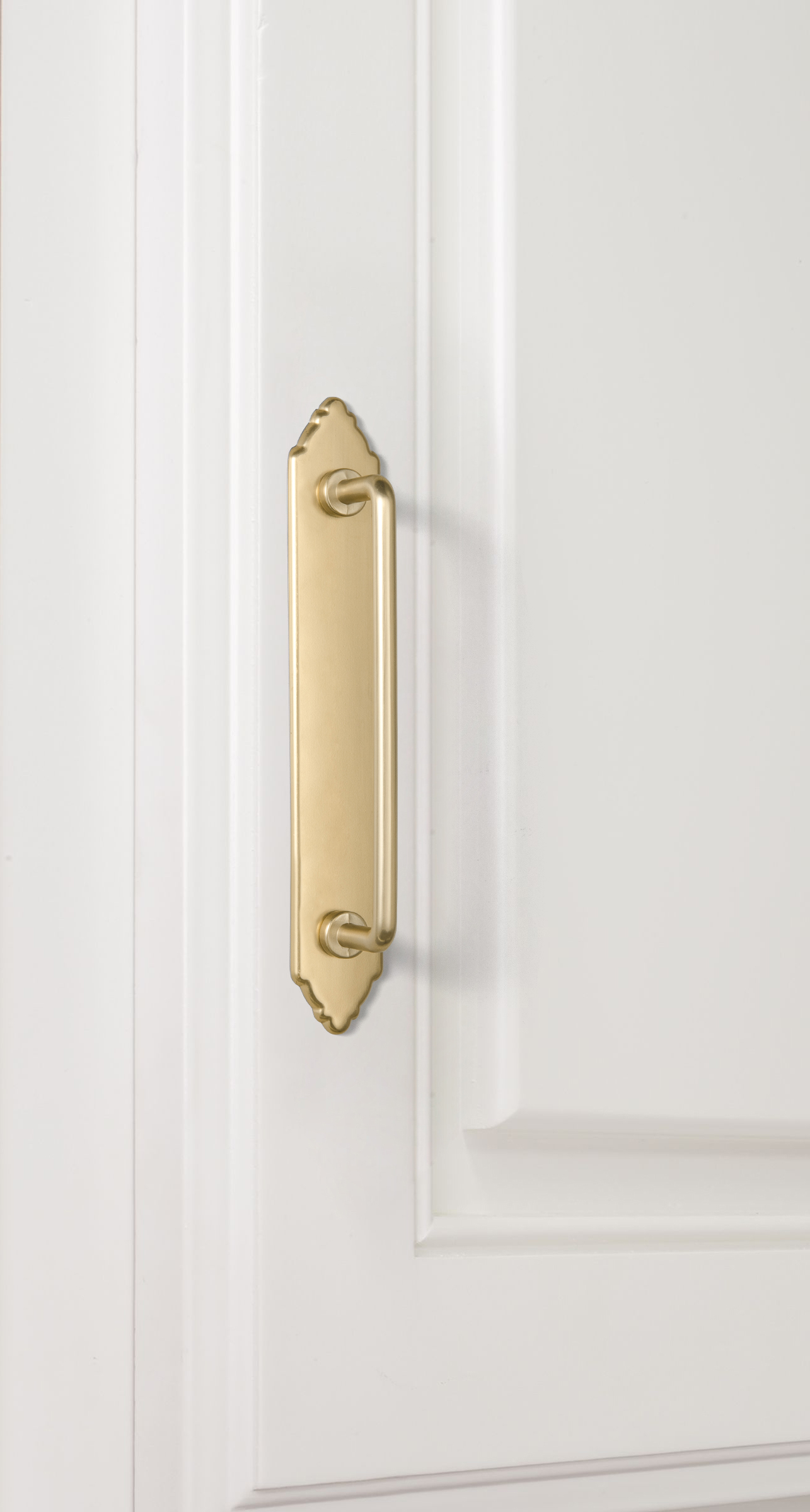 Goo-Ki Antique Brass Cabinet P - огляд і ціна Furniture Hardware With Backplate